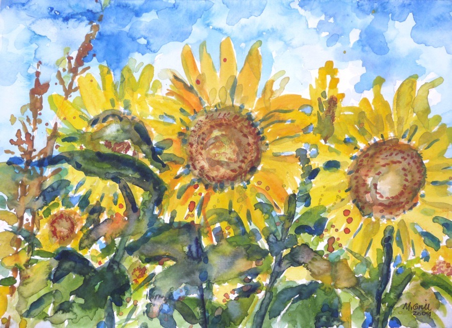 Sonnenblumen 2009.jpg