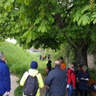 IMG_20160501_144804