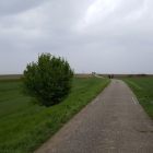 IMG_20160501_164827