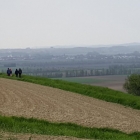 IMG_20160501_165508