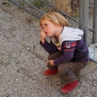 CBM-Treffen-5-10-2014-30