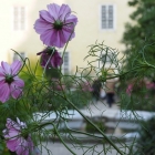 CBM-Treffen-5-10-2014-41