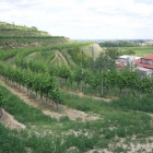 CBM-Wallfahrt-2014-042