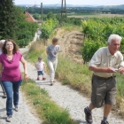 CBM-Wallfahrt-2014-049