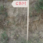 CBM-Wallfahrt-2014-055