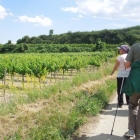 CBM-Wallfahrt-2014-056
