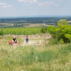 CBM-Wallfahrt-2014-066