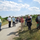 CBM-Wallfahrt-2014-081
