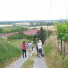 CBM-Wallfahrt-2014-113