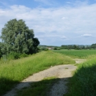 wallfahrt-2012-matzleinsdorf-14