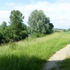 wallfahrt-2012-matzleinsdorf-15