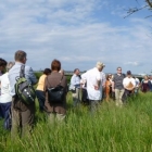 wallfahrt-2012-matzleinsdorf-22