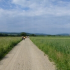 wallfahrt-2012-matzleinsdorf-34