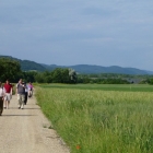 wallfahrt-2012-matzleinsdorf-37
