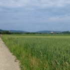 wallfahrt-2012-matzleinsdorf-38