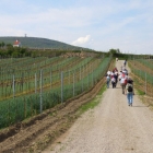 Traiskirchen Teil1 - 28