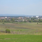Traiskirchen Teil1 - 31