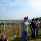 Traiskirchen Teil1 - 43