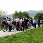 Traiskirchen-Teil2-06