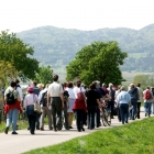 Traiskirchen-Teil2-07