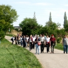 Traiskirchen-Teil2-15