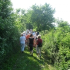page21-1076-full