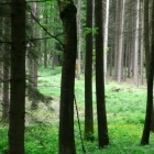 graben-17
