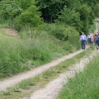 johanneskreuz-48