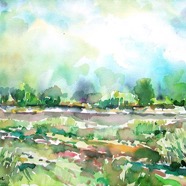 Seewinkel OST-See 8.jpg
