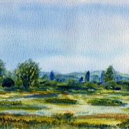 Seewinkel UST-See 3.jpg