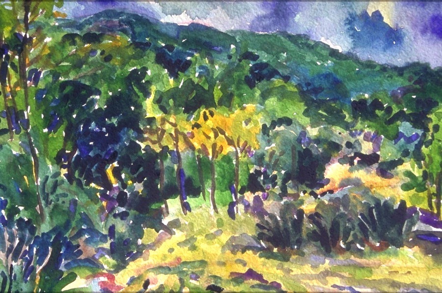 Garten Cassabianca-Aix 1.jpg
