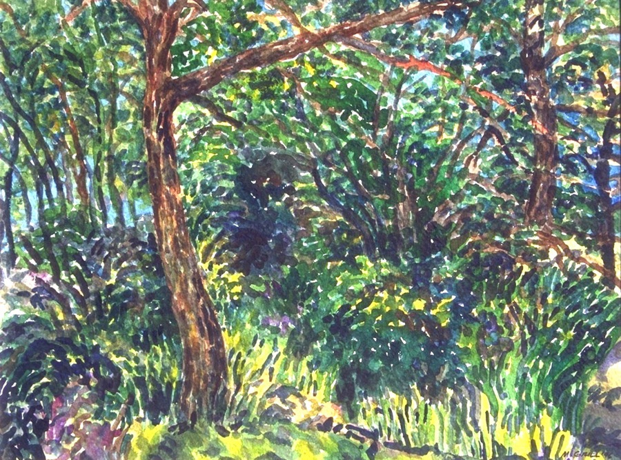 Garten Cassabianca-Aix 2.jpg